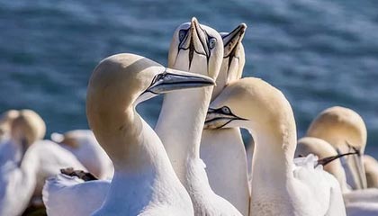 搞笑段子：我被老板骂了...