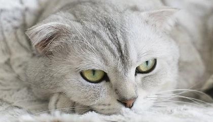 离石：全民阅读推广进景区经典诗文朗诵活动